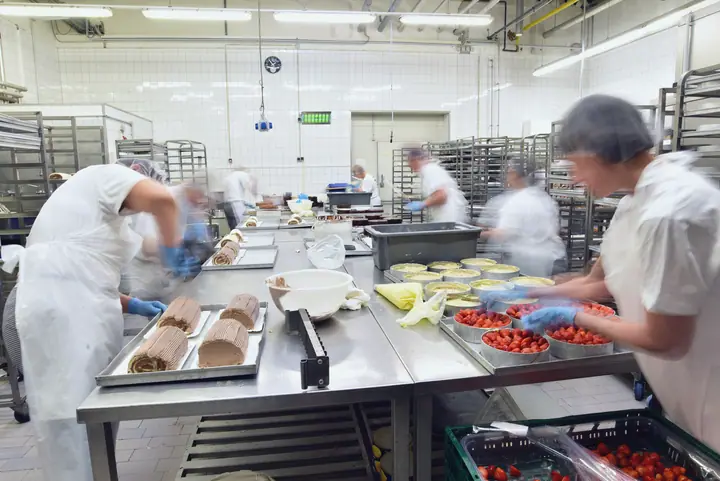 Large kitchen in motion: the team plates up at long stainless-steel tables in hairnets and gloves