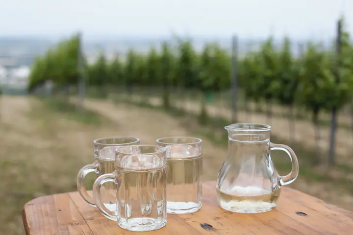 Wine glasses and a carafe on a wooden table in the vineyard